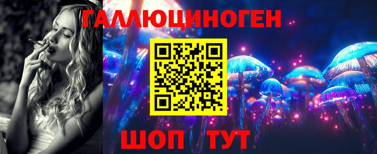 Галлюциногенные грибы мухоморы  Галлюциногенные грибы прущие грибы  Отрадный  Вход с VPN 