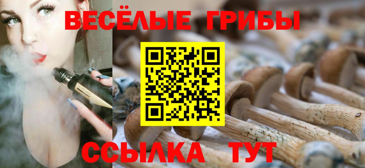 Галлюциногенные грибы прущие грибы Отрадный